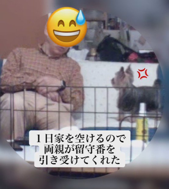 お父さんが喋ると…