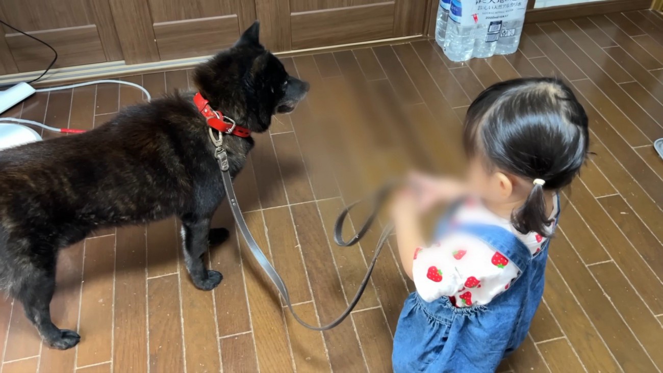 女の子とお散歩に出発