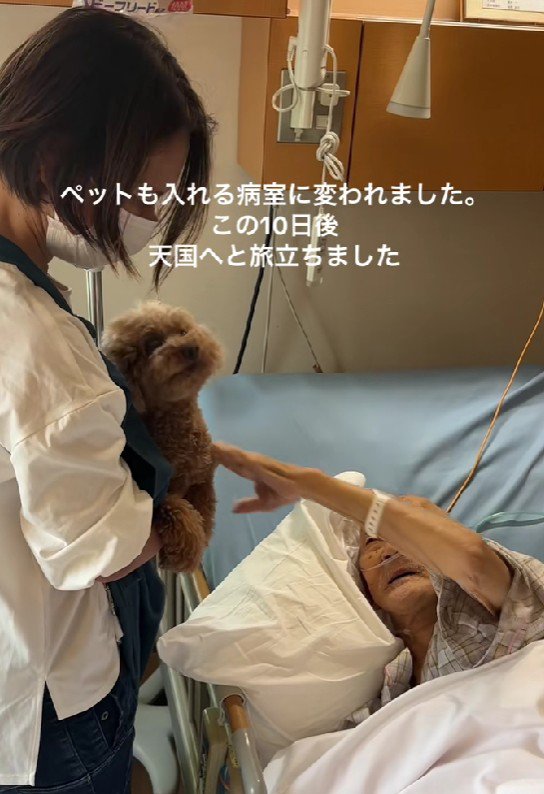 10日後、おじいちゃんは天国へ%日後、おじいちゃんは天国へ