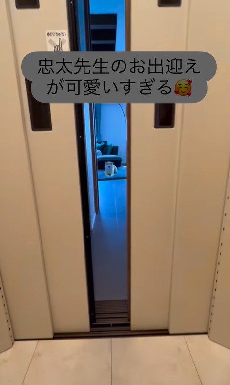 忠太くんの熱烈歓迎2