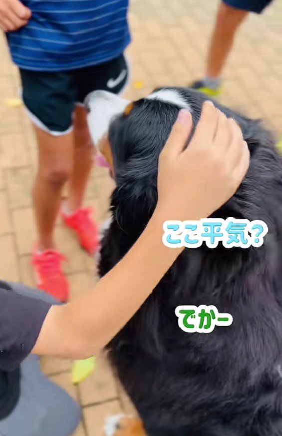 「ここ平気？」