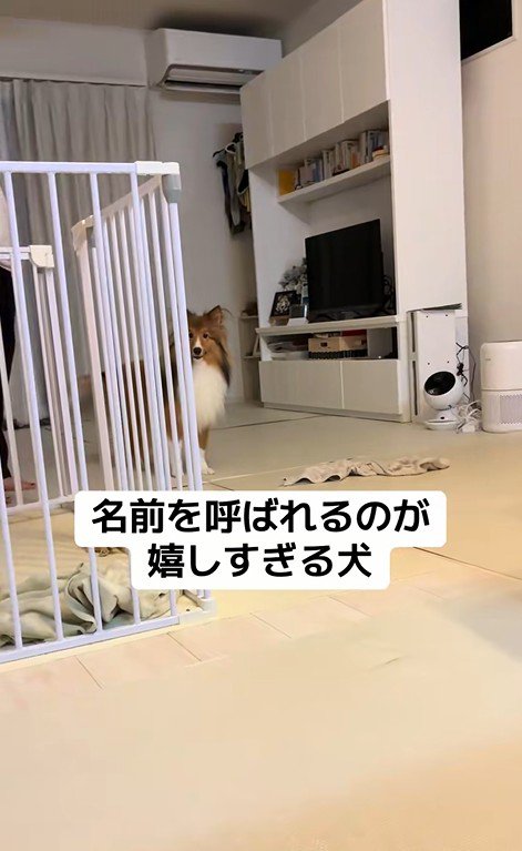 名前を呼ばれた時のリックくん