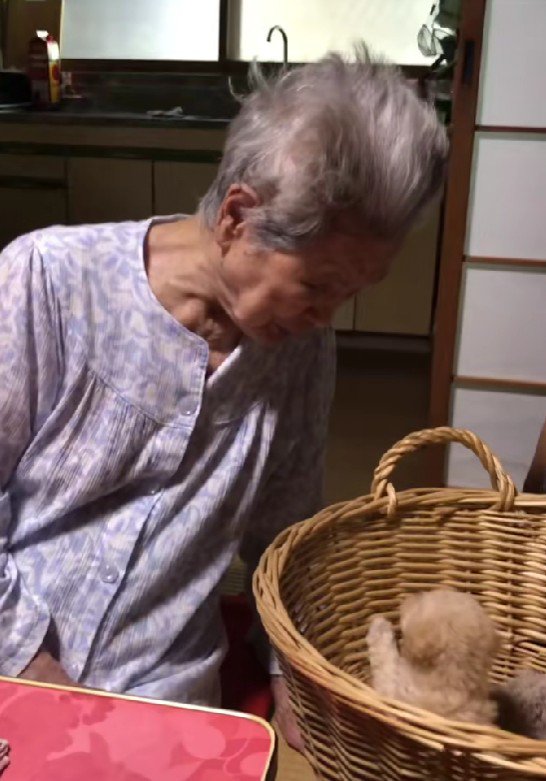 「かわいい、かわいい」