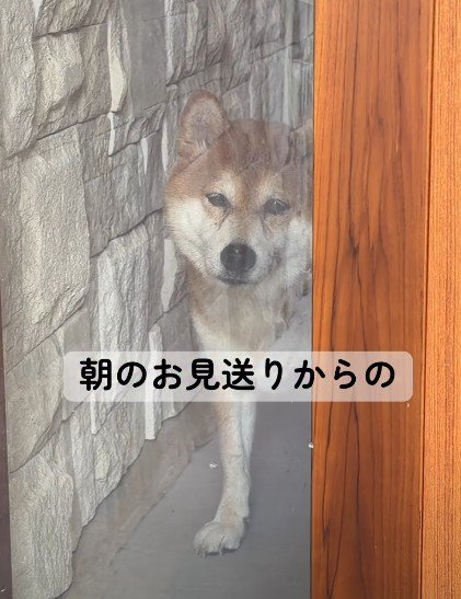 切ない顔でお見送り
