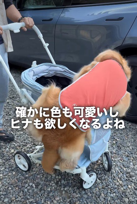 驚異の執念を見せるヒナタちゃん