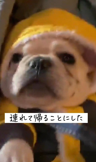 連れて帰ることに！