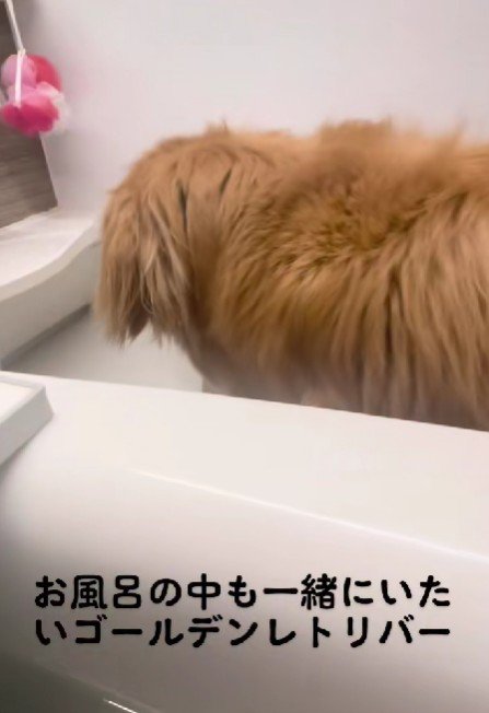 「まだ出ないの…？」