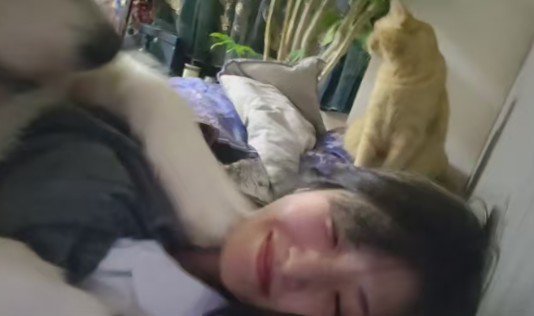 知らんぷりする猫にクスッ