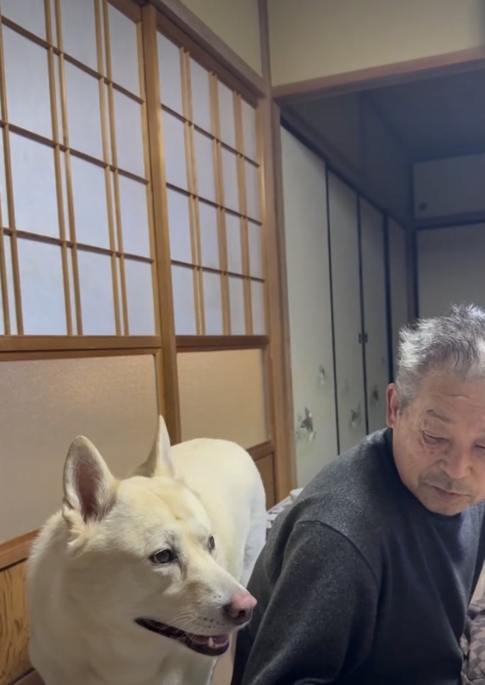 きな子ちゃん、容赦なし