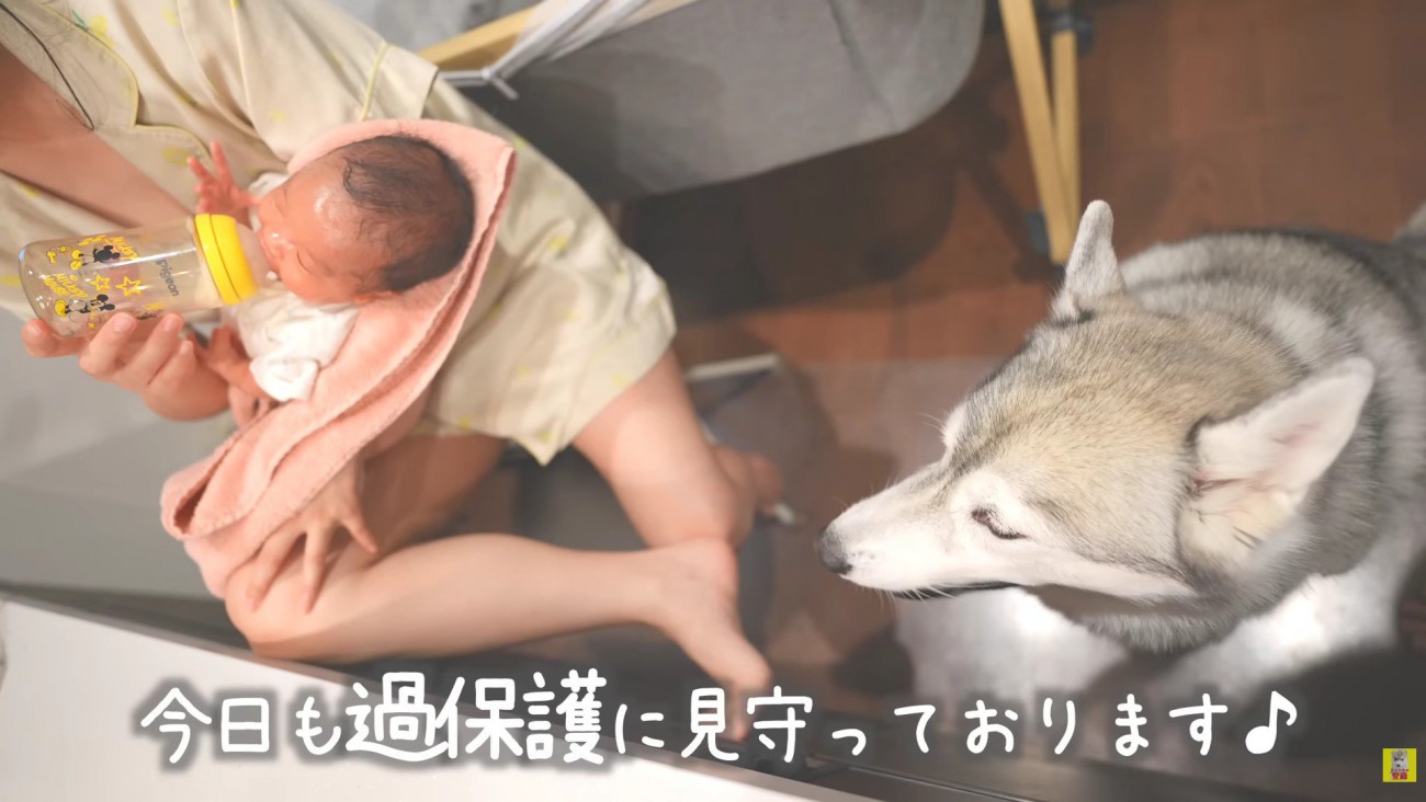 過保護なもんちゃん