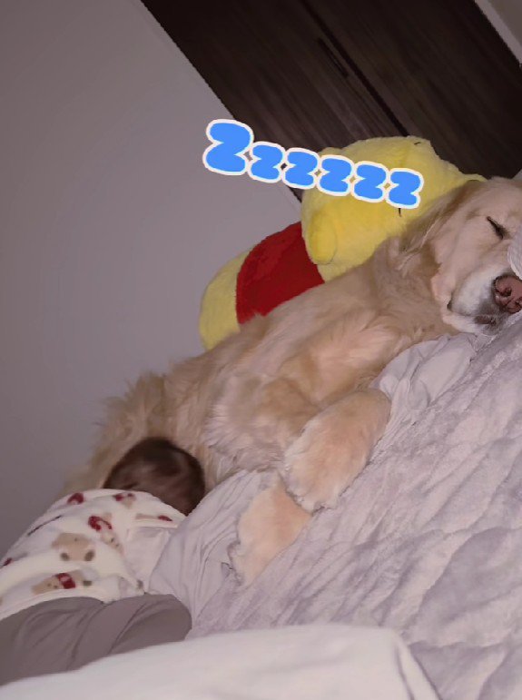 一瞬で解決した！！