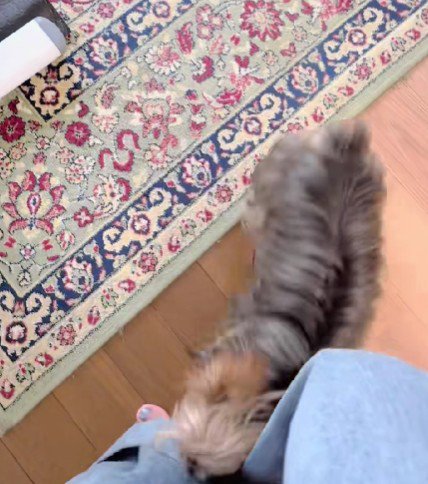 服を引っ張って抗議