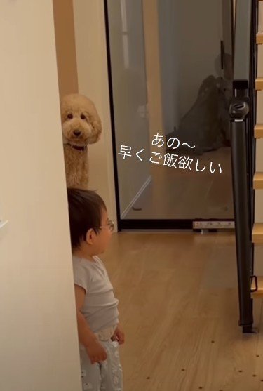 「私のごはんは…」