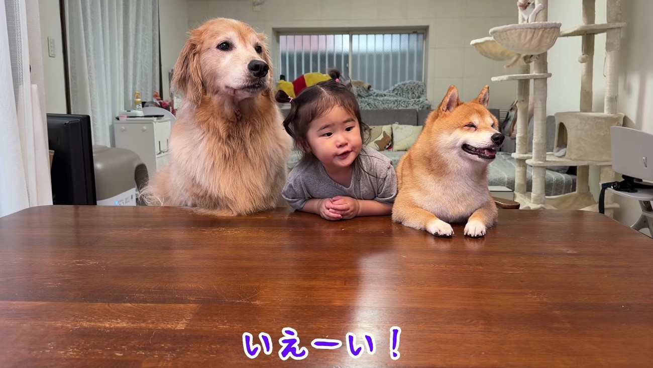 おやつ待てるかな？