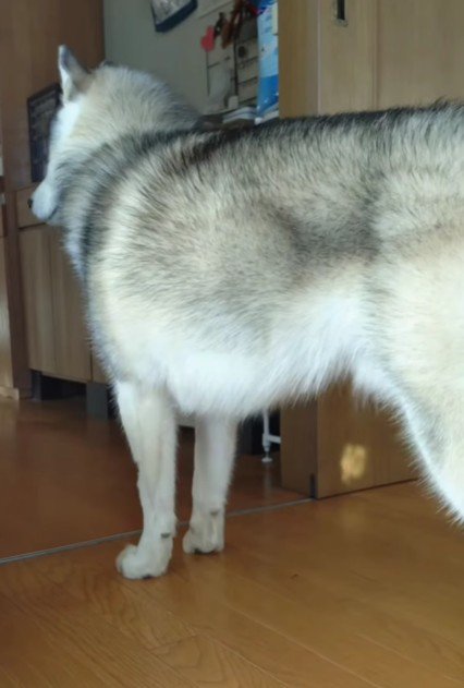 やっと満足したみたい