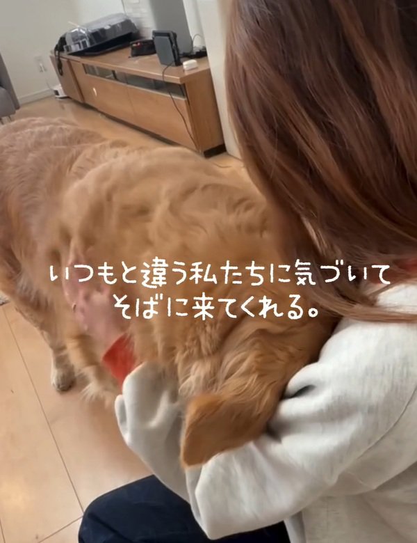 顔をうずめるきなこちゃん
