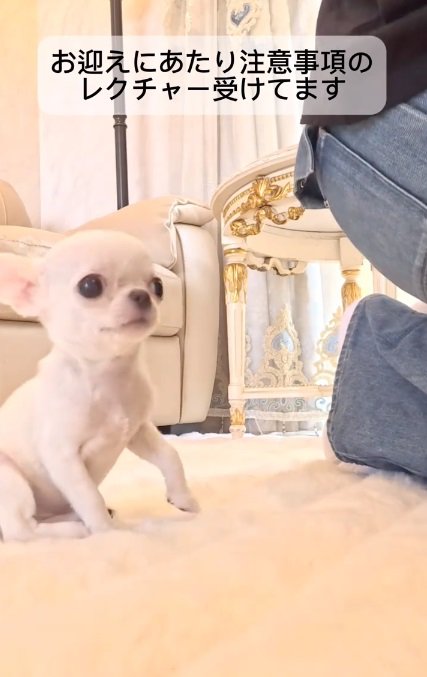 もじもじするルミちゃん