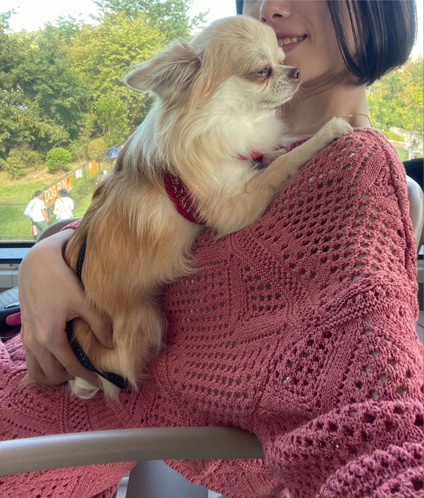 飼い主