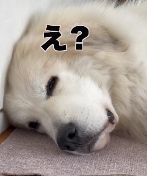 ちゃっかり反応♪
