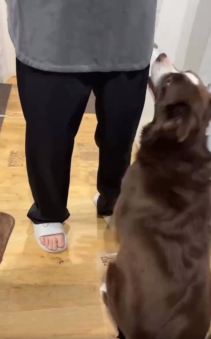 ママの前に座るテールちゃん