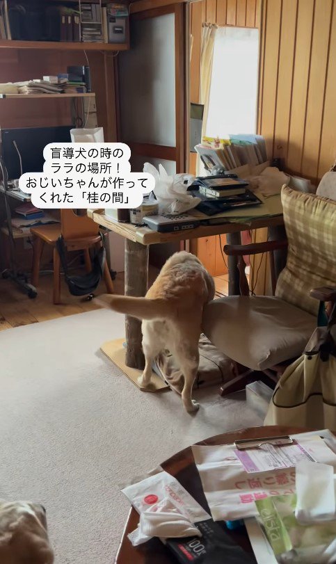 ララちゃんとユーザーさんの再会4
