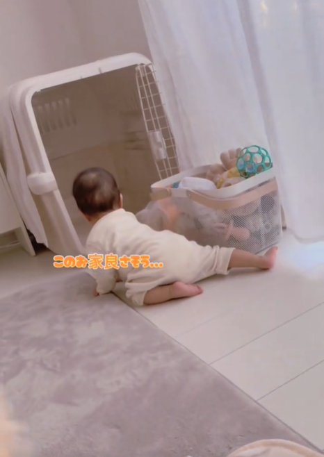 赤ちゃんの後ろ姿