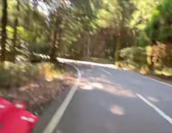 ハシゴを持って子犬の元へ