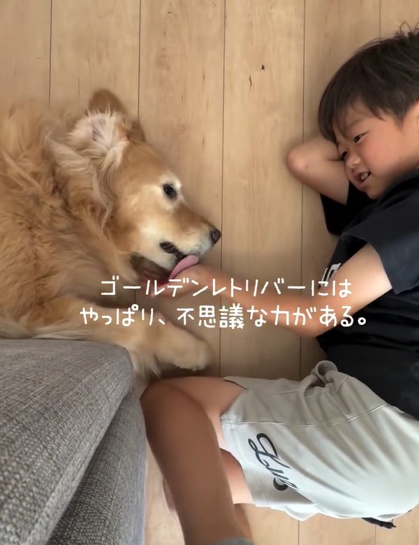 息子さんの手を舐めるきなこちゃん