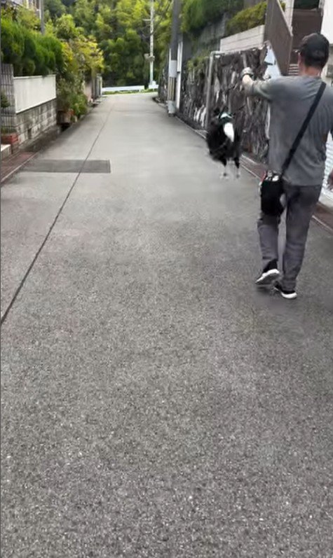 おじさんとお散歩中のルナちゃん2