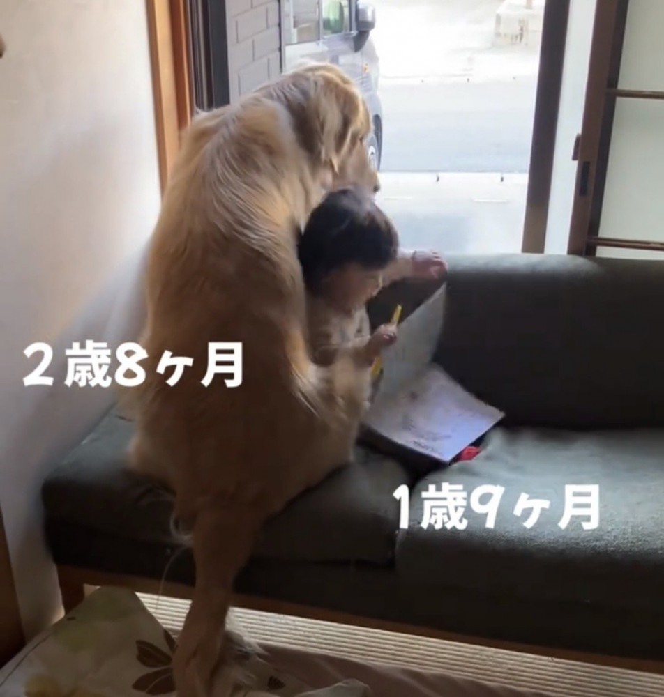 尻もちをつく赤ちゃん