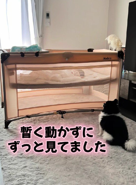 赤ちゃんに釘付けに！！