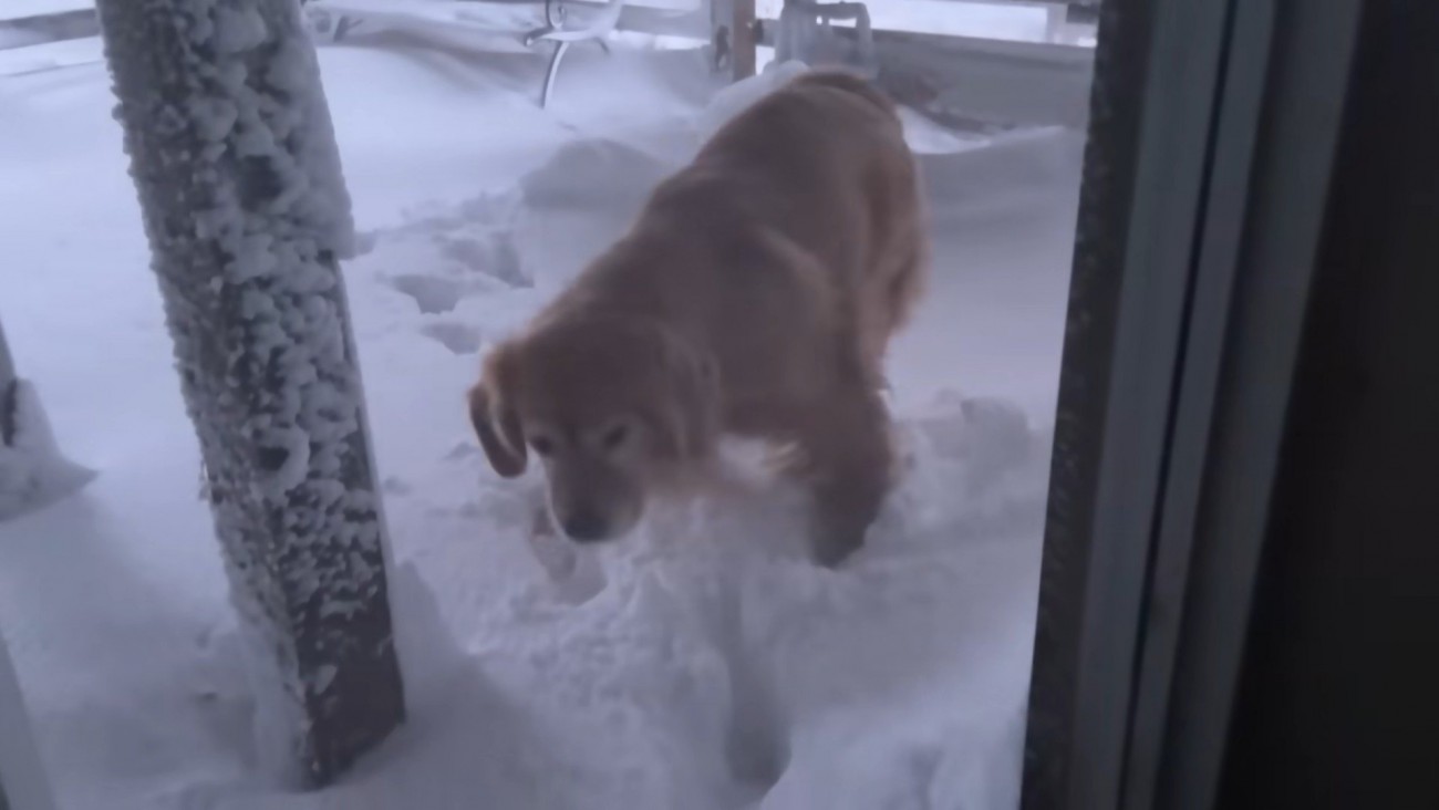 外に出てみます！