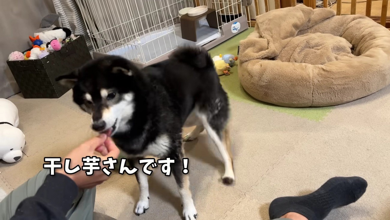 「え！干し芋！？」