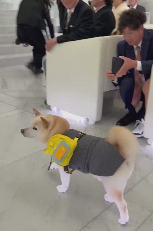 会場は笑顔に包まれたそう