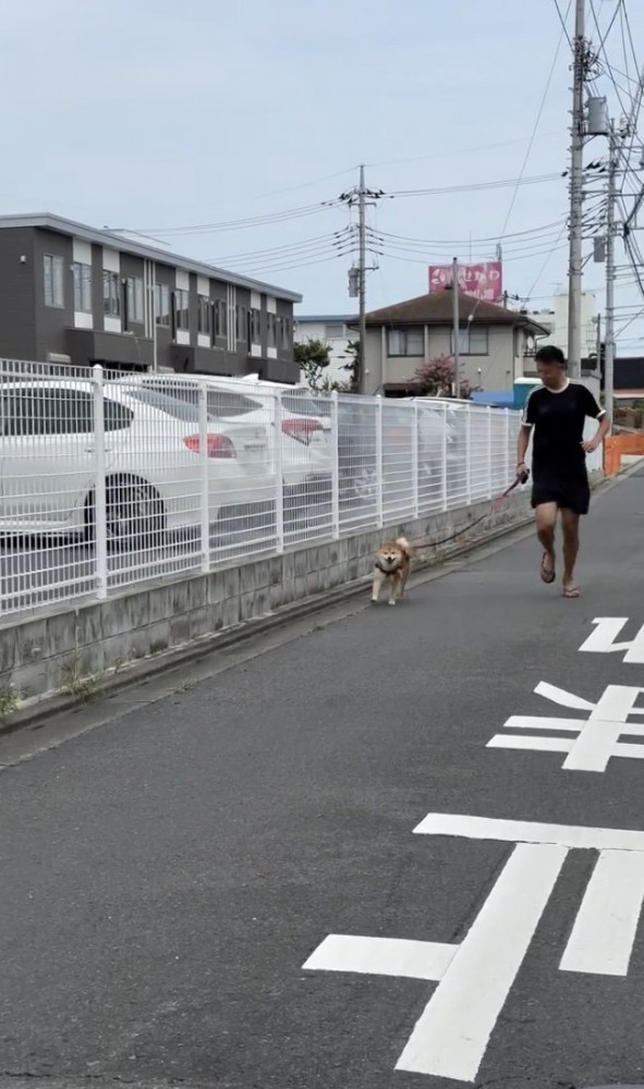 走り出すはちちゃん