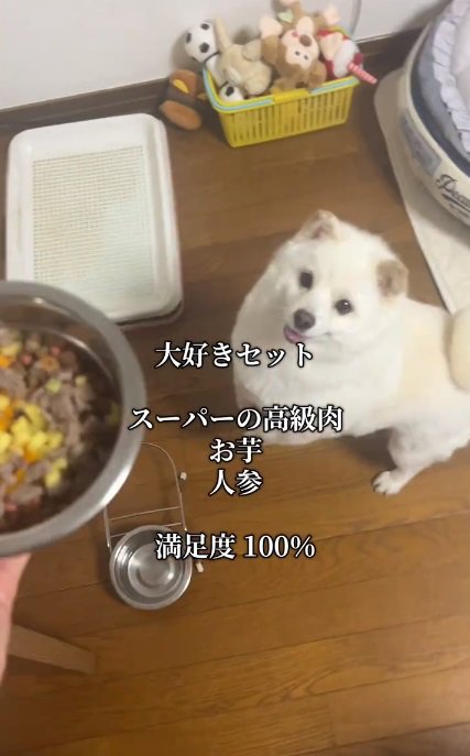 大喜びのべらちゃん