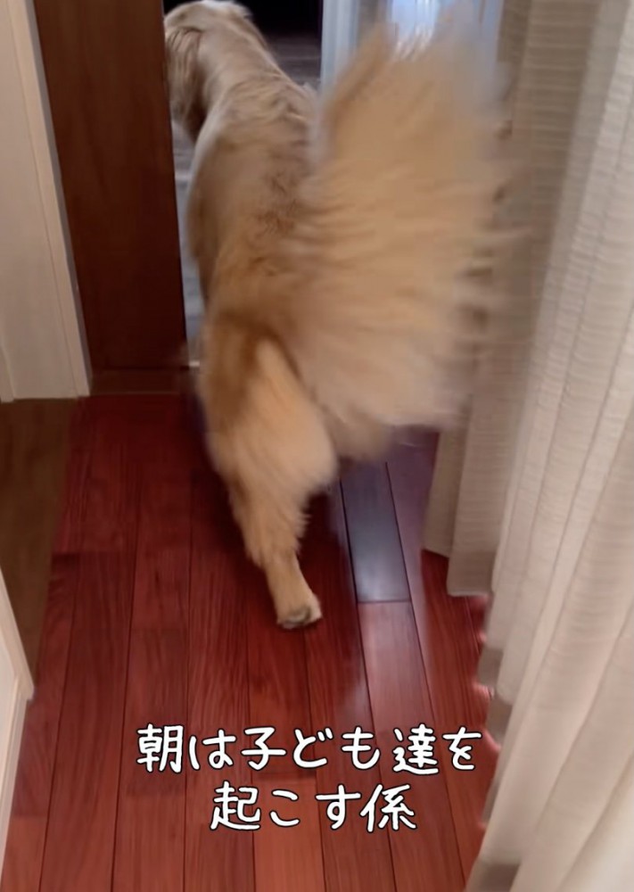 「朝ですよー！」