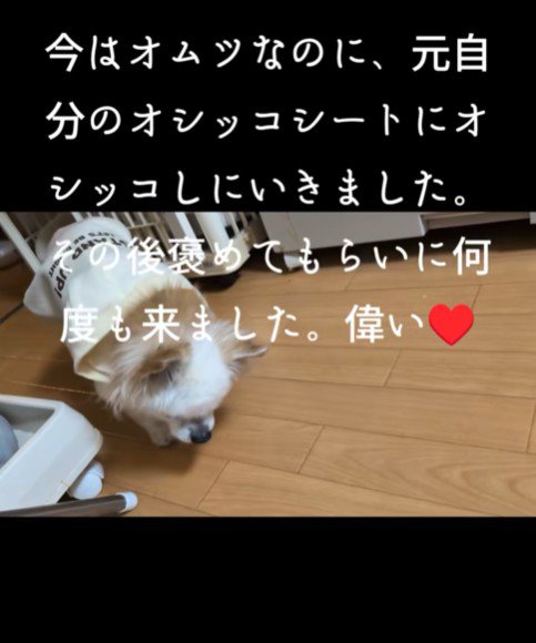 トイレまで歩いて行った