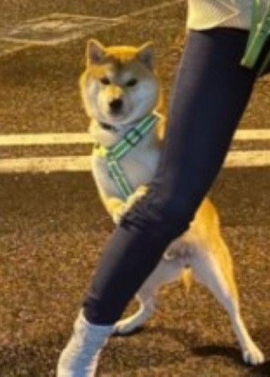 ばっちりカメラ目線でキメ顔♪