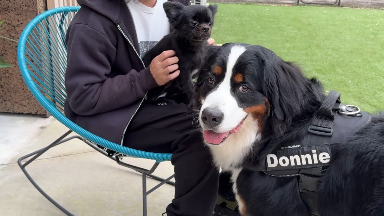 どんちゃんとジジくんのふれあい9