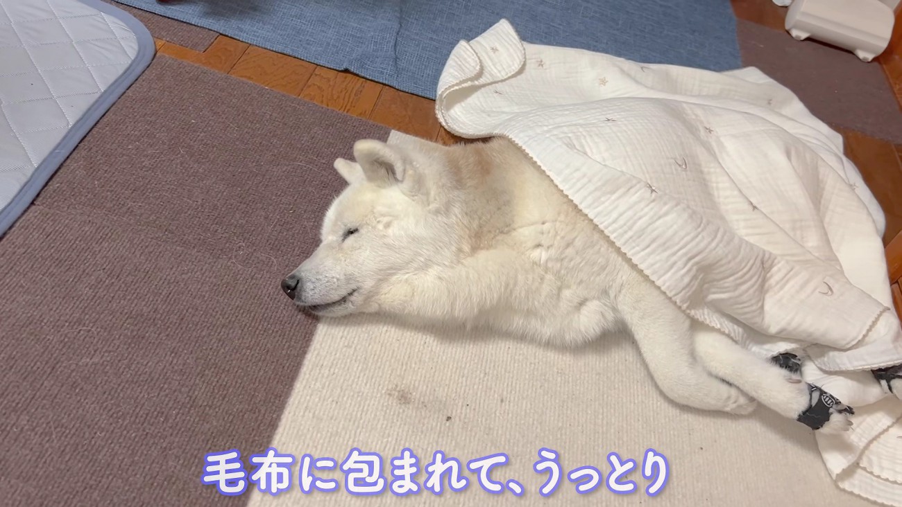 17歳のあいちゃん