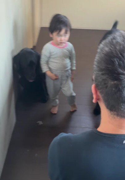 パパが男の子を叱ると…