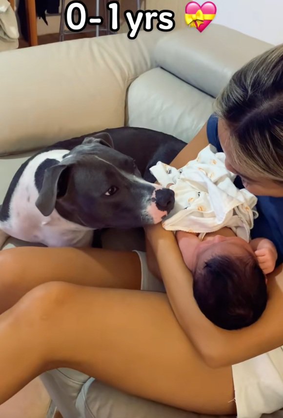 ママの近くでハリーくんを見守るゆめちゃん