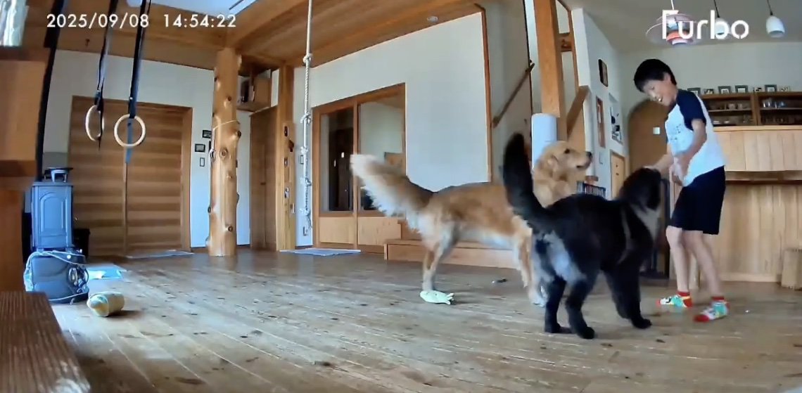 熱めのナデナデ！