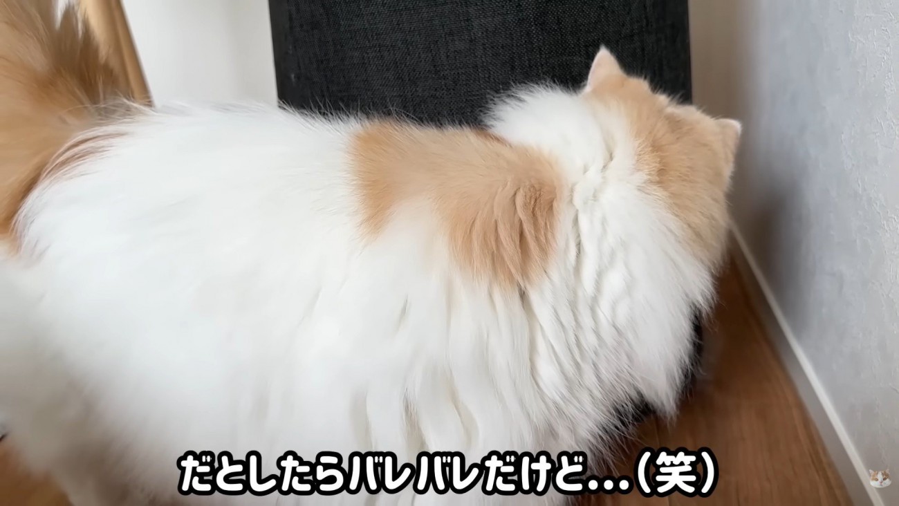 レモンさんは穴を覗き込んで…