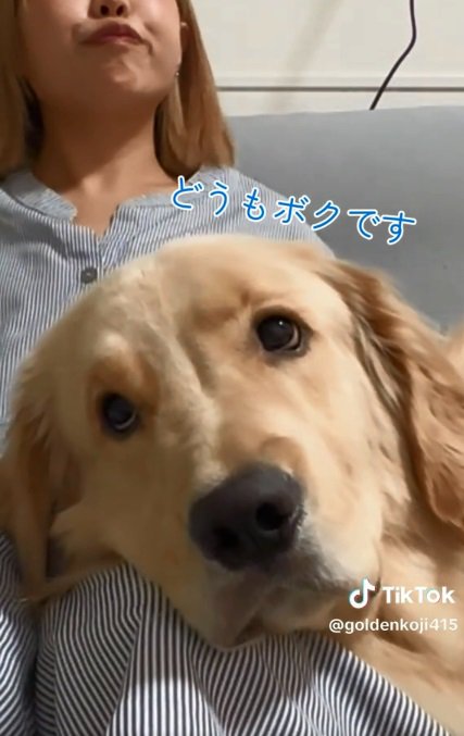 ドアップの麹くん