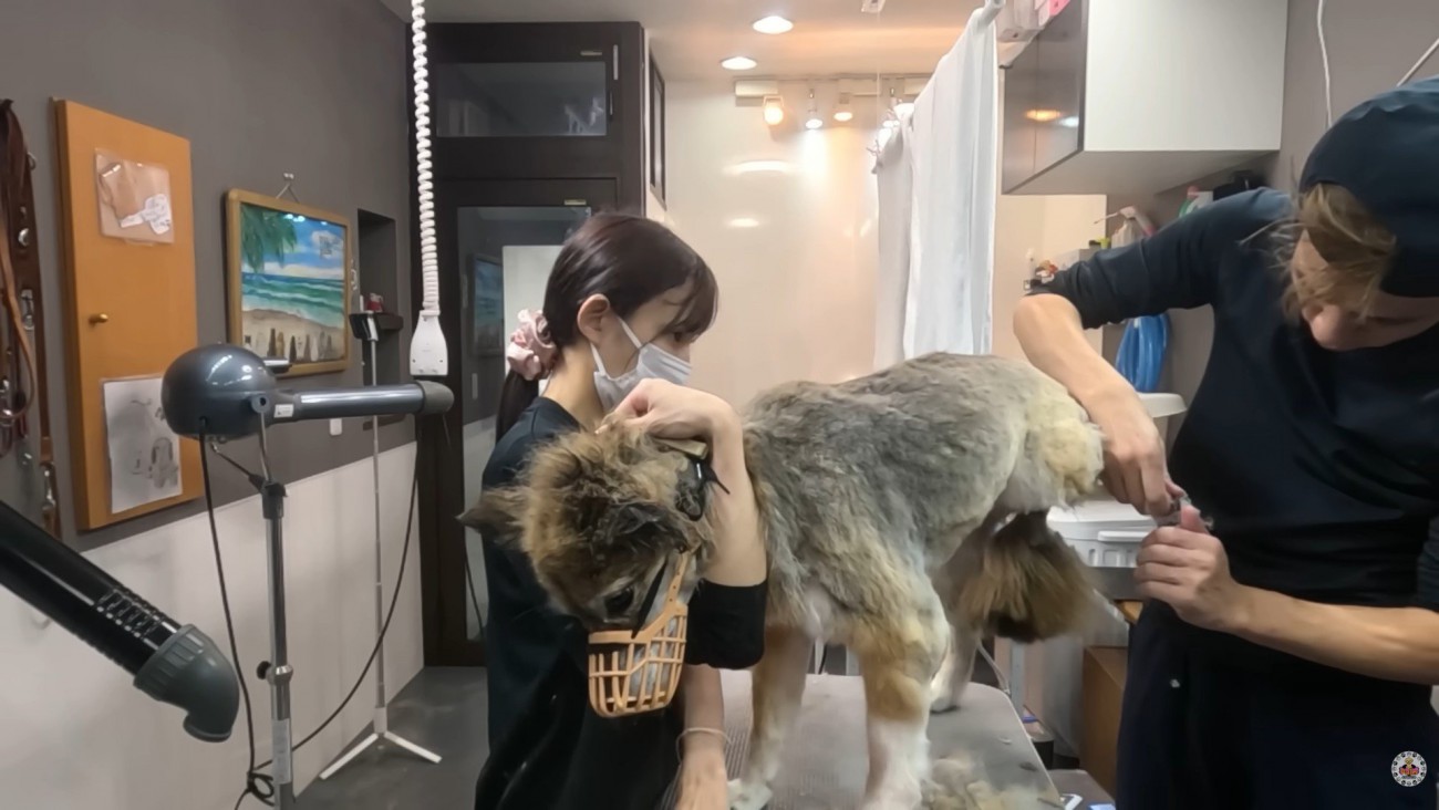 大嫌いな爪切りにも耐えてくれました