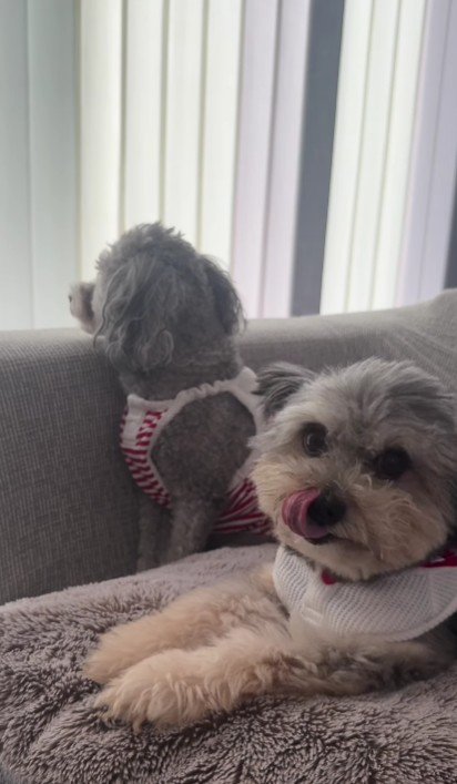 とっても優しい性格だとか