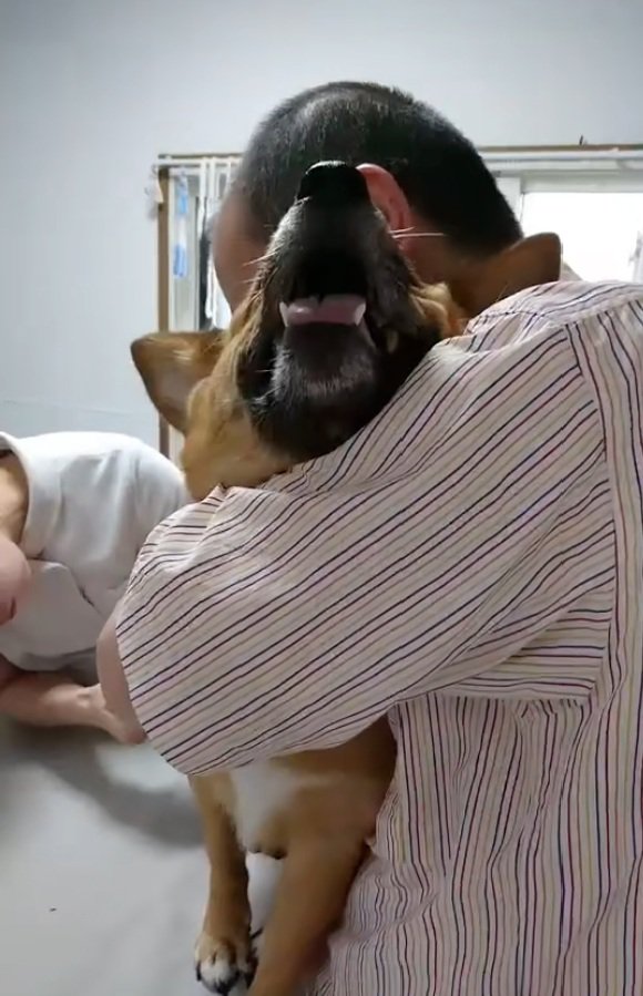 泣き叫ぶわんこ