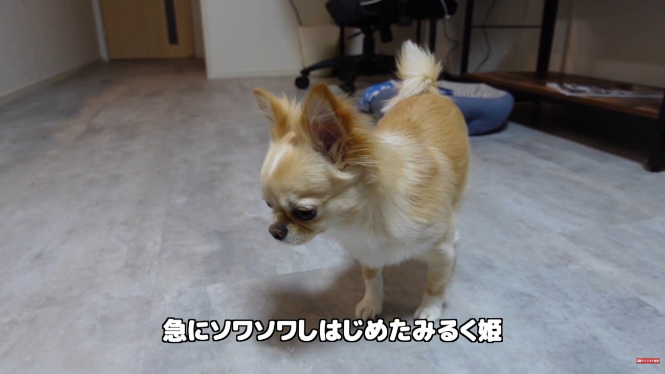 お風呂にお湯を溜め始めたら…